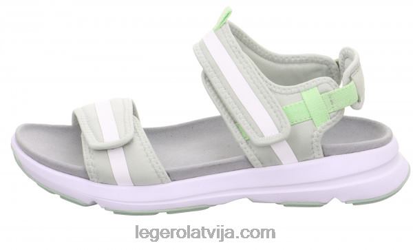 Legerosievietes brīvības aļģe NN8P42