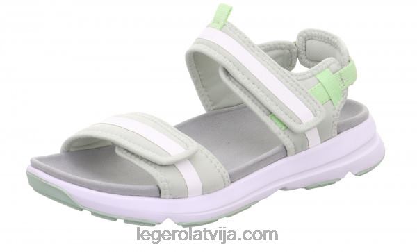 Legerosievietes brīvības aļģe NN8P42