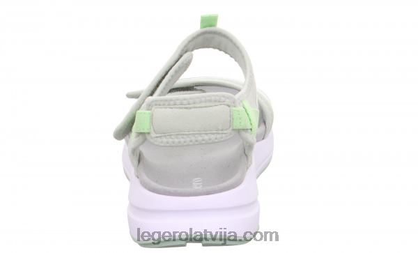 Legerosievietes brīvības aļģe NN8P42