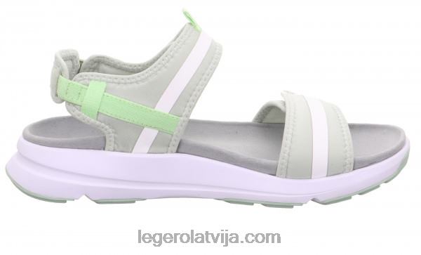 Legerosievietes brīvības aļģe NN8P42