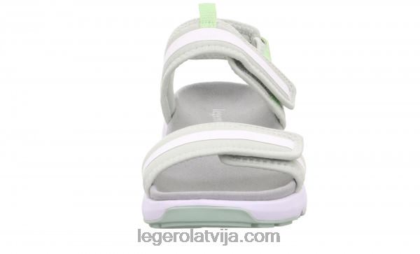 Legerosievietes brīvības aļģe NN8P42