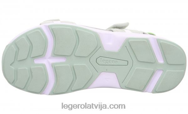 Legerosievietes brīvības aļģe NN8P42