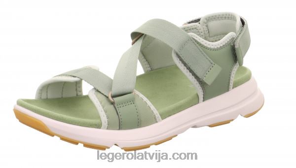 Legerosievietes brīvības piparmētra NN8P77