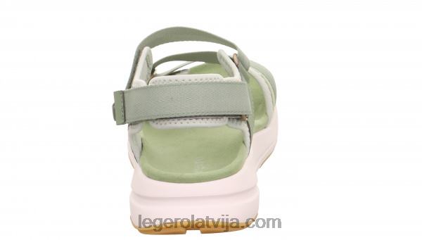 Legerosievietes brīvības piparmētra NN8P77