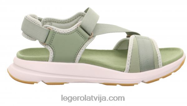 Legerosievietes brīvības piparmētra NN8P77