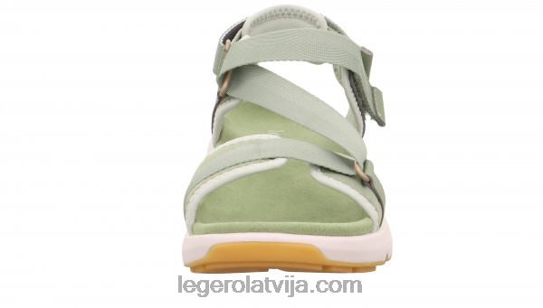 Legerosievietes brīvības piparmētra NN8P77