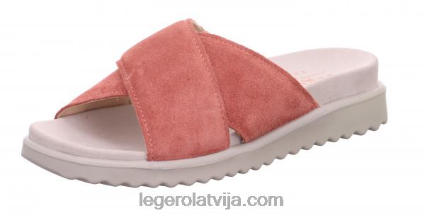 Legerosievietes pārvietot teksasas roze NN8P10