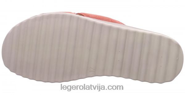 Legerosievietes pārvietot teksasas roze NN8P10