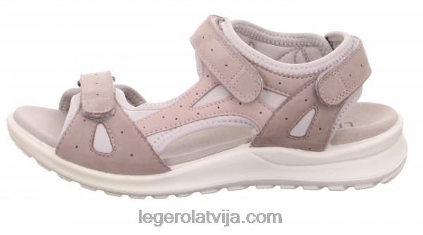 Legerosievietes siris grifs NN8P22