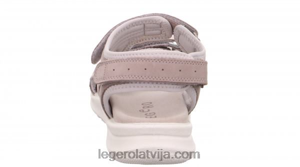 Legerosievietes siris grifs NN8P22